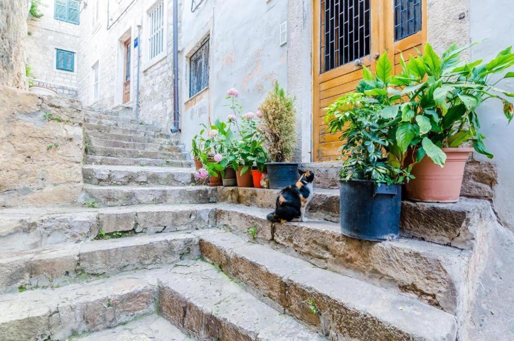 Apartment Ivona Dubrovnik Eksteriør billede